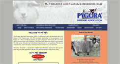 Desktop Screenshot of pba-pygora.org